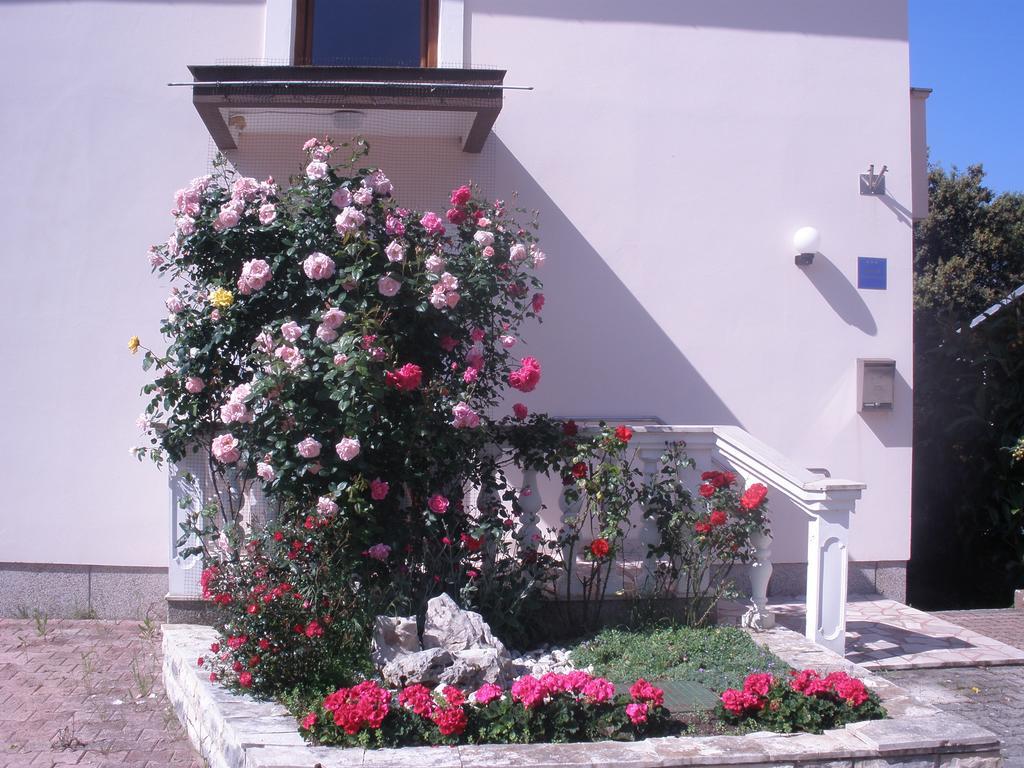 Apartment Brucker Kozino